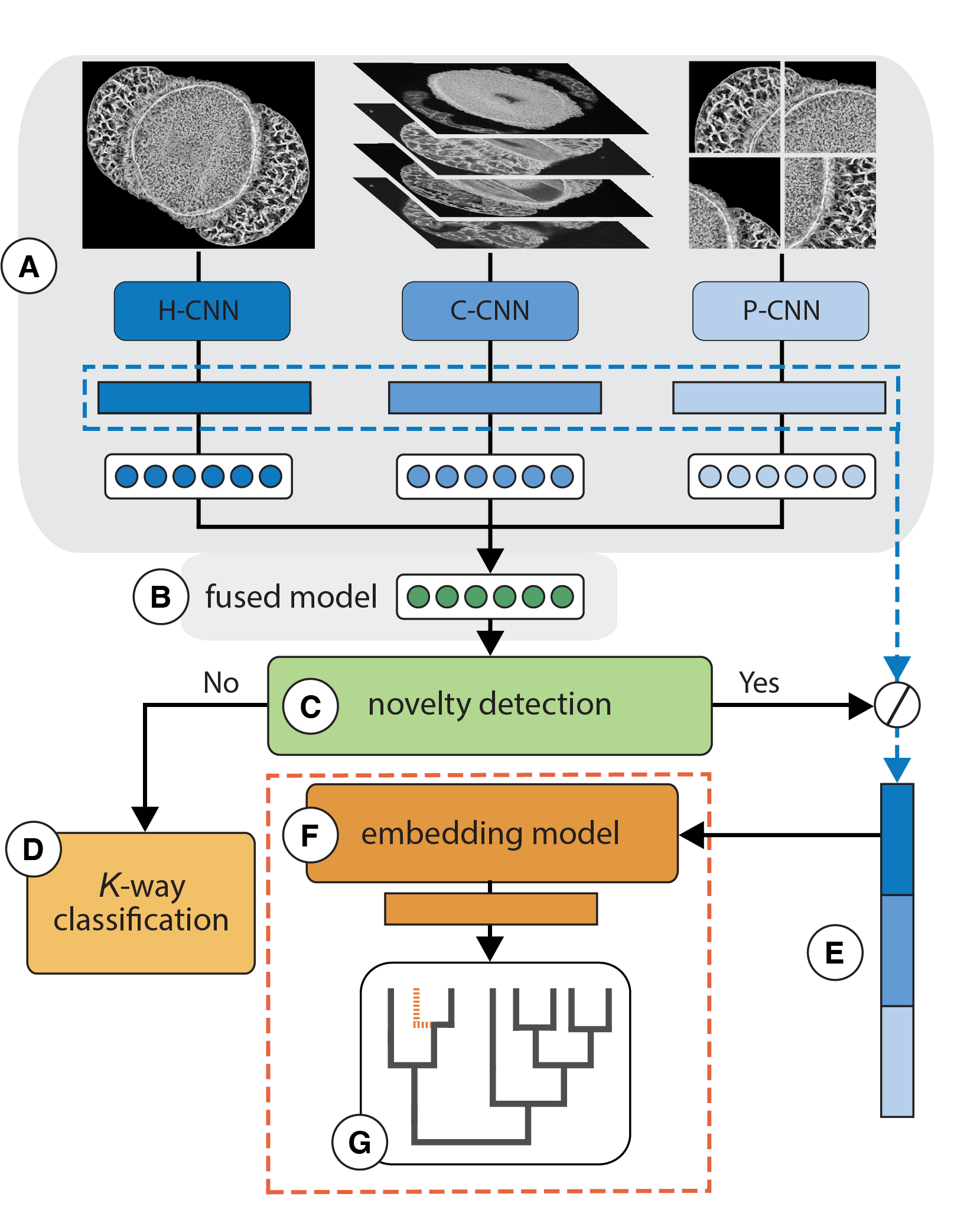 Pollen imaging and analysis